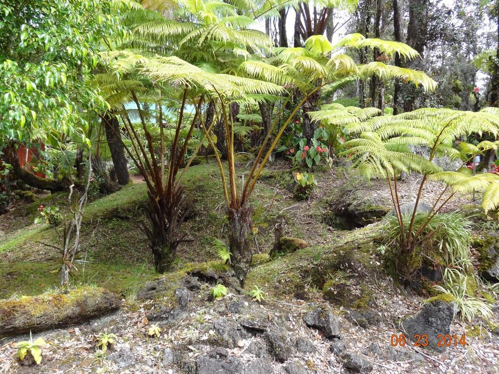 Alii Kane Cottages With Loft Volcano Exterior photo